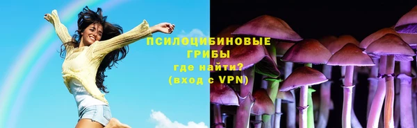 эйфоретик Пролетарск