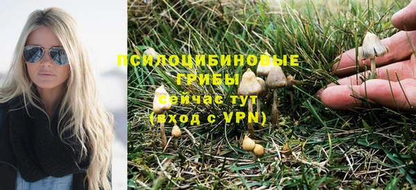 бошки Беломорск
